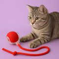 ENGAGING AUTOMATIC DOG AND CAT CHASER TOY